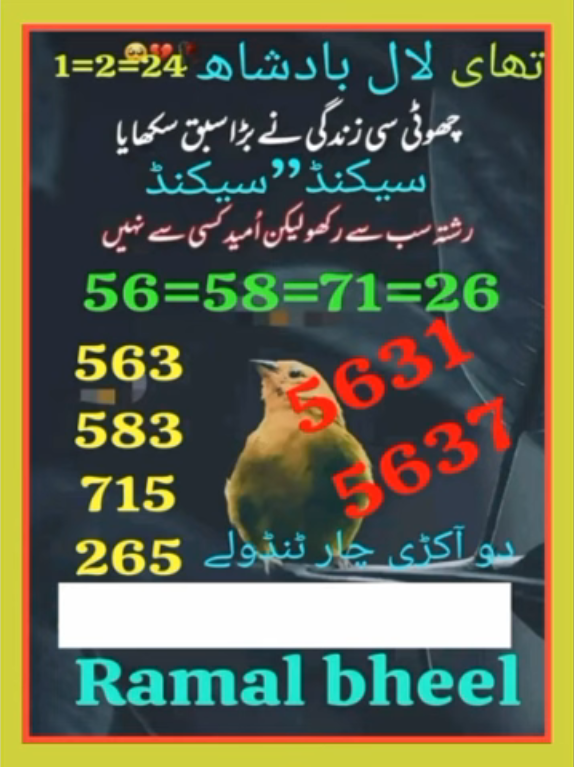Thai Laal Badshah Guess Paper 01/02/2024
